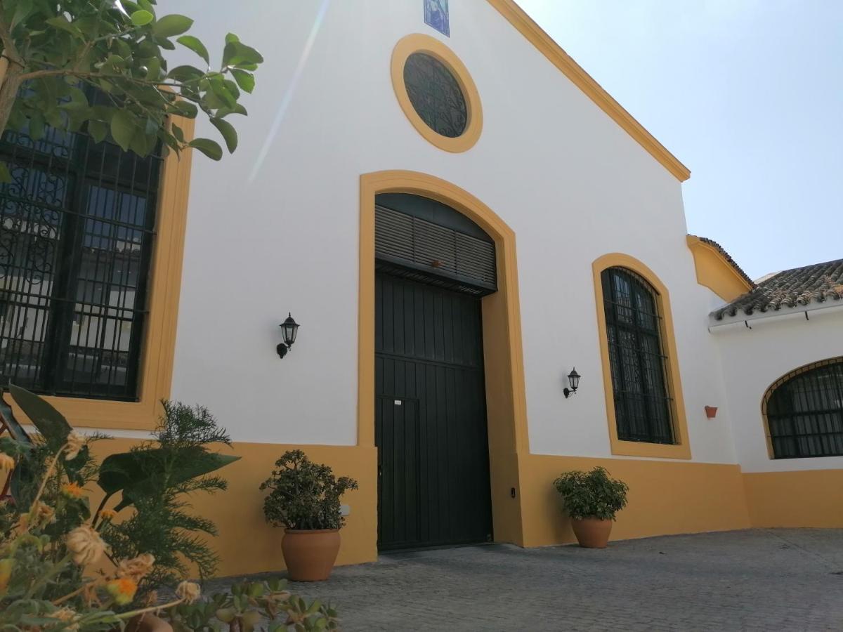 Entre Bodegas Jerez Appartement Jerez de la Frontera Buitenkant foto